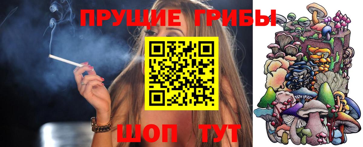 Псилоцибиновые грибы мицелий  Вход с VPN  Камень-на-Оби 